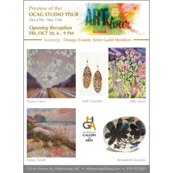 Orange County Artist Guild_The Times News_Orange County Arts News